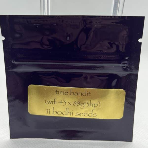 Bodhi Seeds - Time Bandit