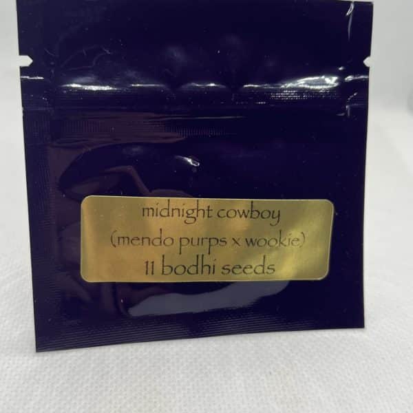 Bodhi Seeds - Midnight Cowboy
