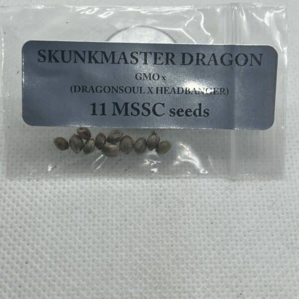 Magic Spirit Seed Co - Skunkmaster Dragon