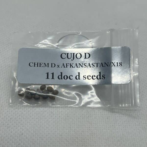 Magic Spirit Seed Co - Cujo D