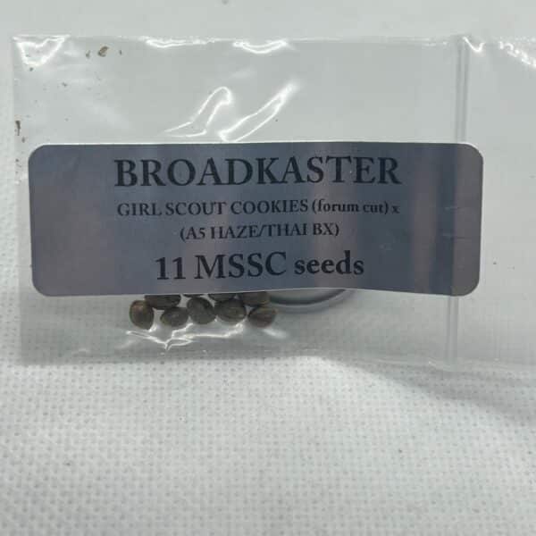 Magic Spirit Seed Co - Broadkaster