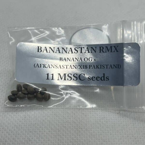 Magic Spirit Seed Co - Bananastan Remix