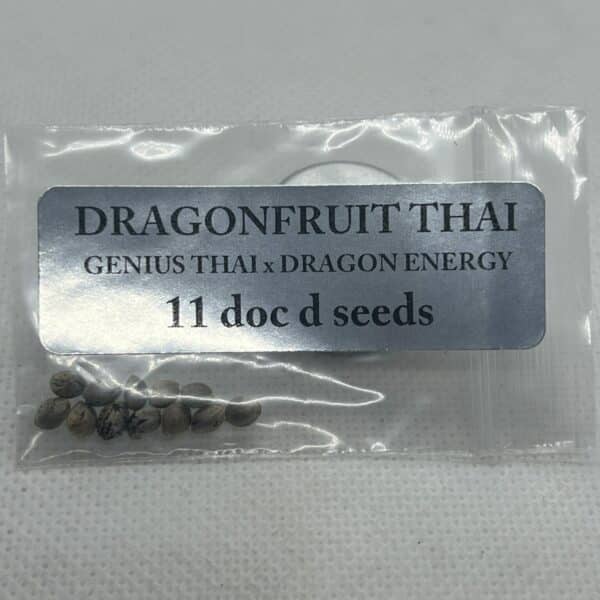Magic Spirit Seed Co - Dragonfruit Thai