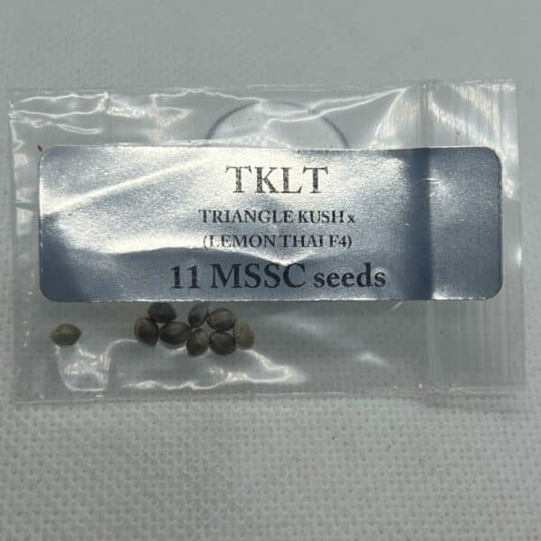 Magic Spirit Seed Co - TKLT