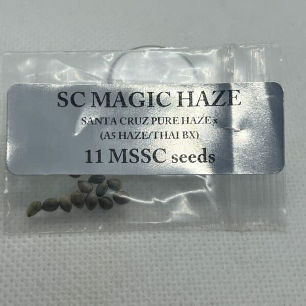 Magic Spirit Seed Co - SC Magic Haze