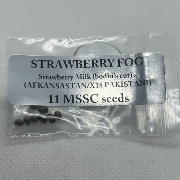 Magic Spirit Seed Co - Strawberry Fog