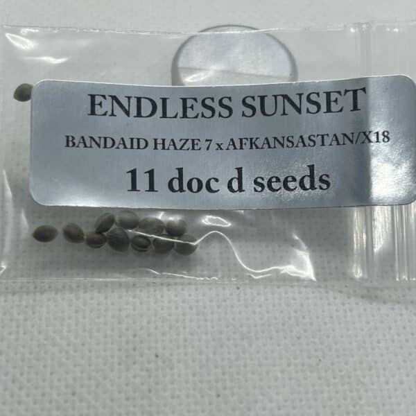 Magic Spirit Seed Co - Endless Sunset