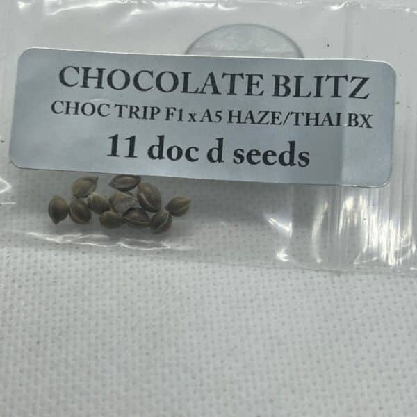 Magic Spirit Seed Co - Chocolate Blitz
