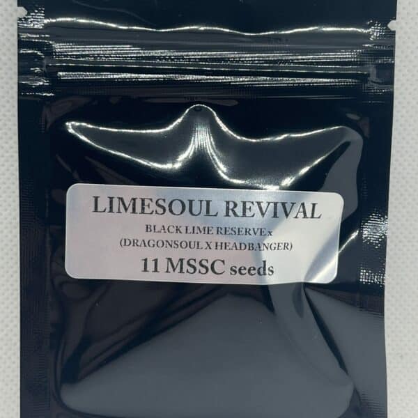 Magic Spirit Seed Co - Limesoul Revival