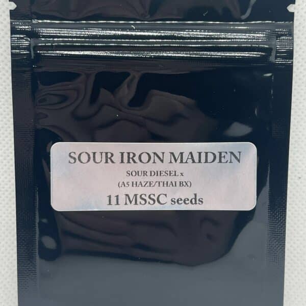 Magic Spirit Seed Co - Sour Iron Maiden
