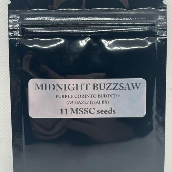 Magic Spirit Seed Co - Midnight Buzzsaw