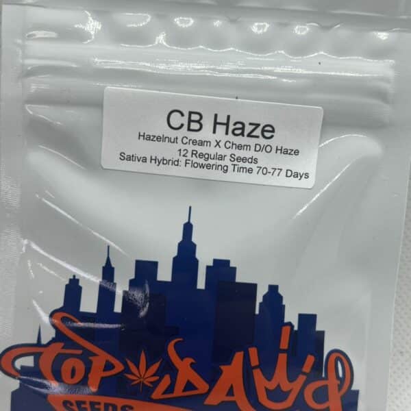 Top Dawg Seeds - CB Haze / Hazelnut Haze