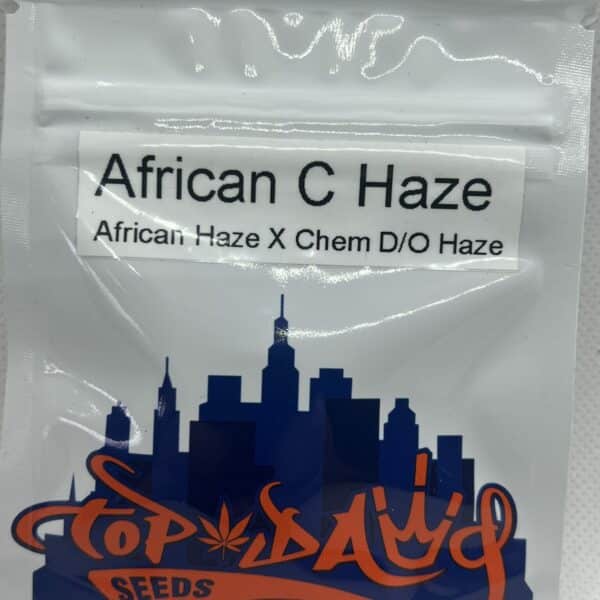 Top Dawg Seeds - African C Haze