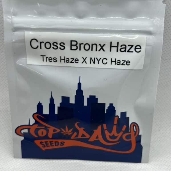 Top Dawg Seeds - Cross Bronx Haze