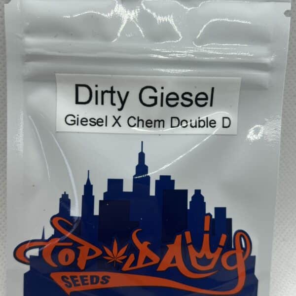 Top Dawg Seeds - Dirty Giesel