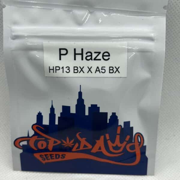 Top Dawg Seeds - P Haze