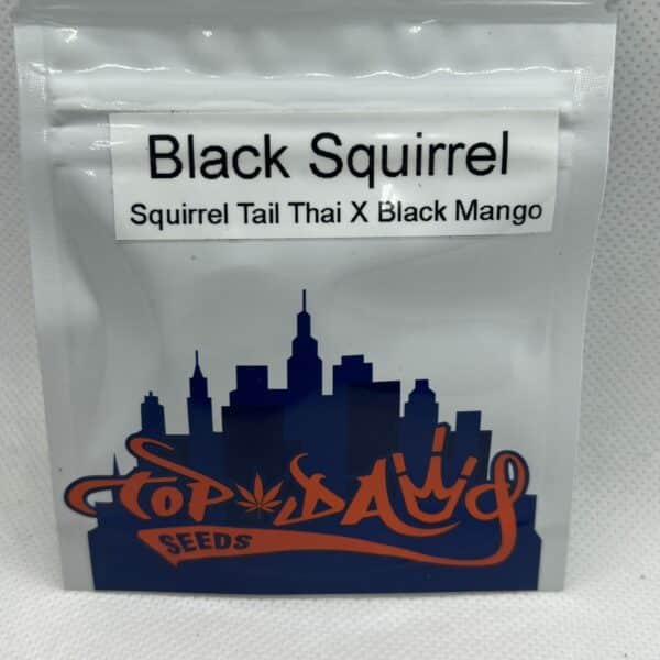 Top Dawg Seeds - Black Squirrel
