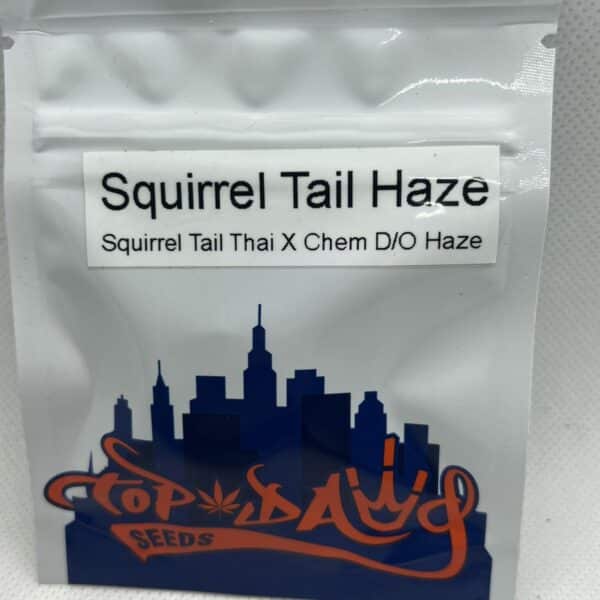 Top Dawg Seeds - Squirrel Tail Haze