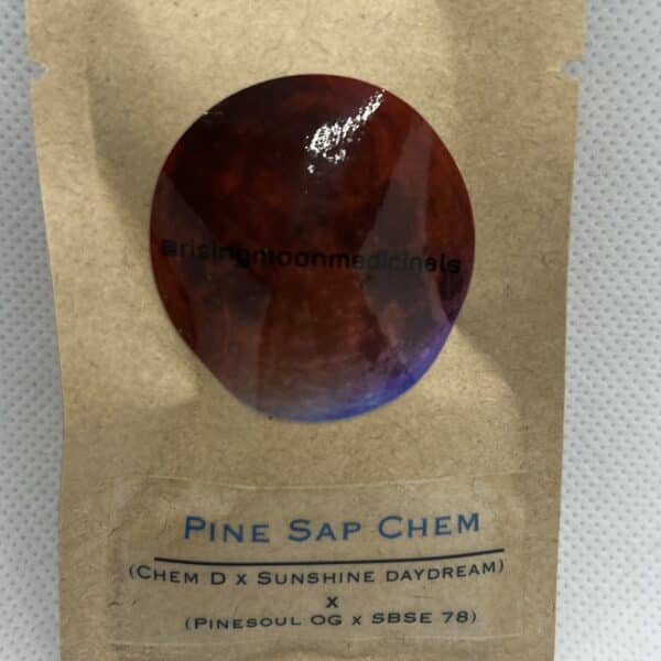 Rising Moon Seeds - Pine Sap Chem
