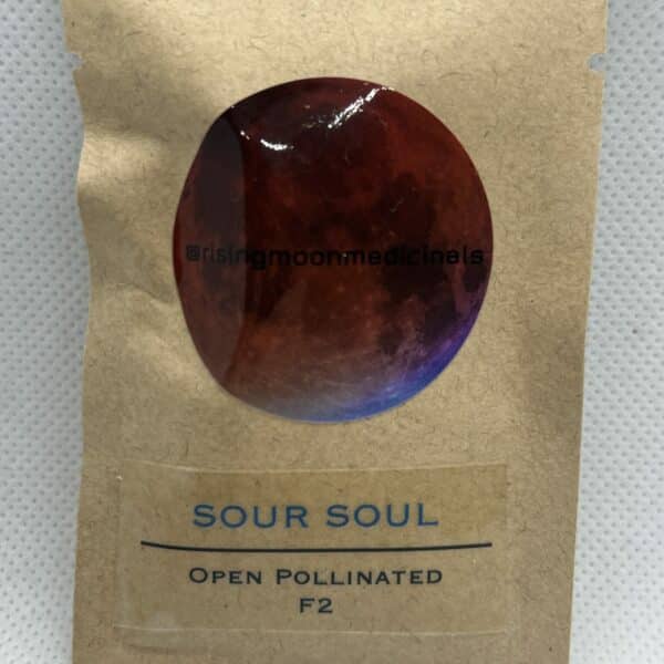 Rising Moon Seeds - Sour Soul F2