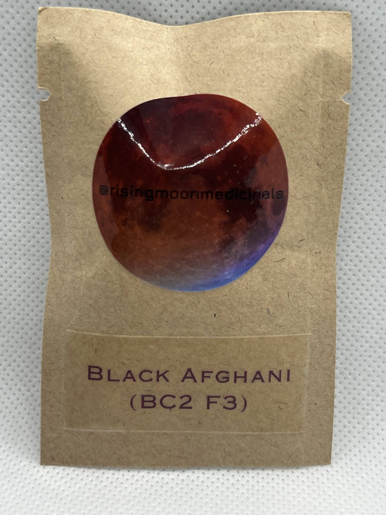 Rising Moon Seeds - Black Afghani BC2 F3