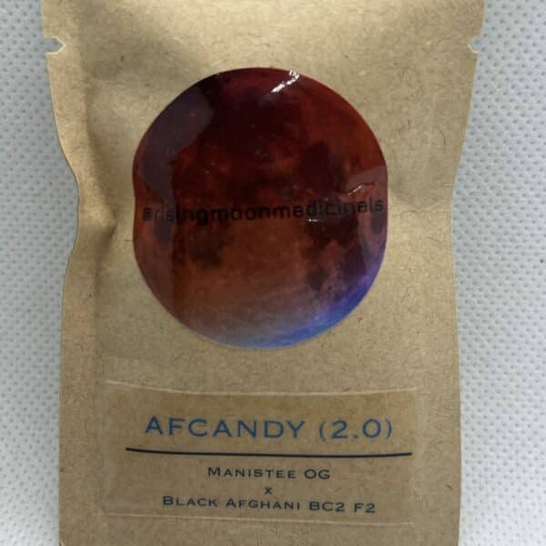 Rising Moon Seeds - AFCANDY 2.0