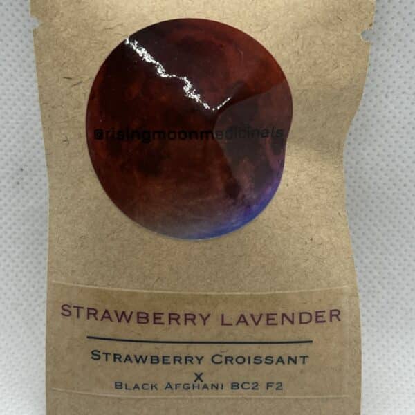 Rising Moon Seeds - Strawberry Lavender