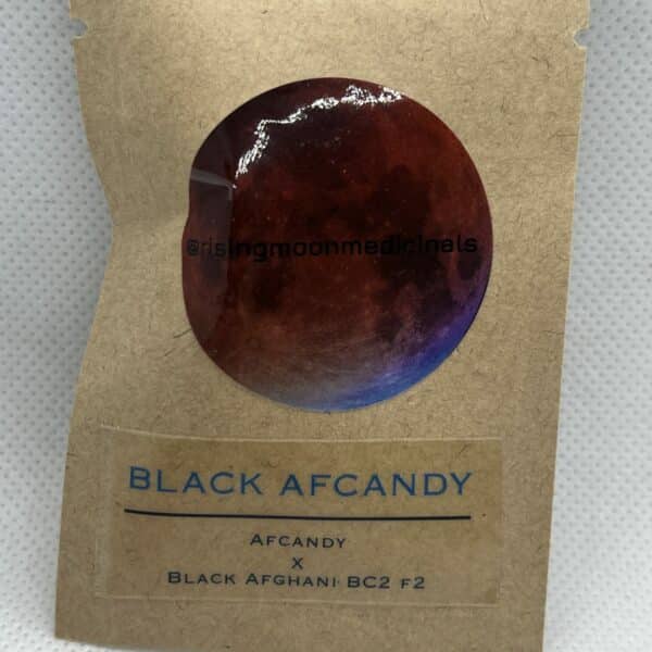 Rising Moon Seeds - Black Afcandy