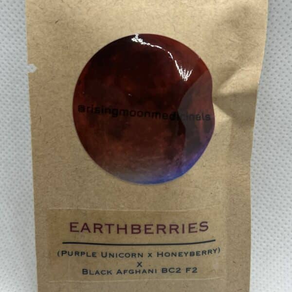 Rising Moon Seeds - Honey Tree (CBD)
