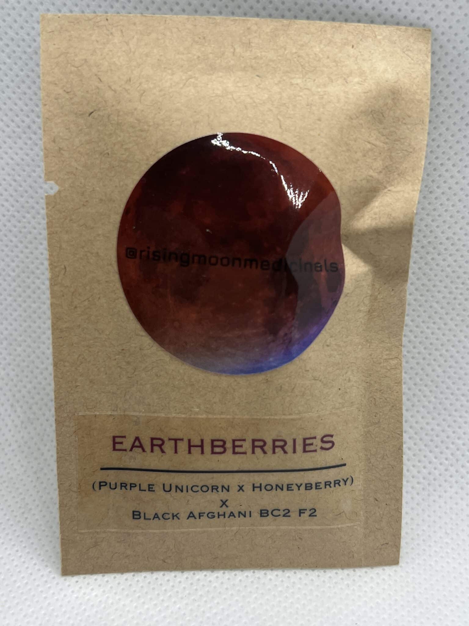 Rising Moon Seeds - Honey Tree (CBD)