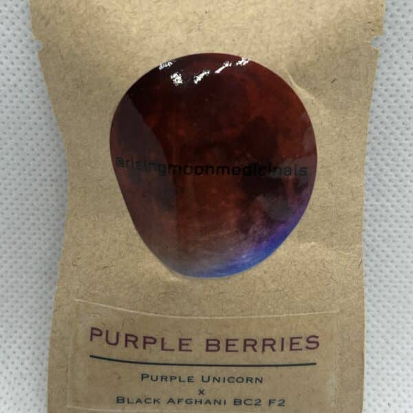 Rising Moon Seeds - Purple Berries