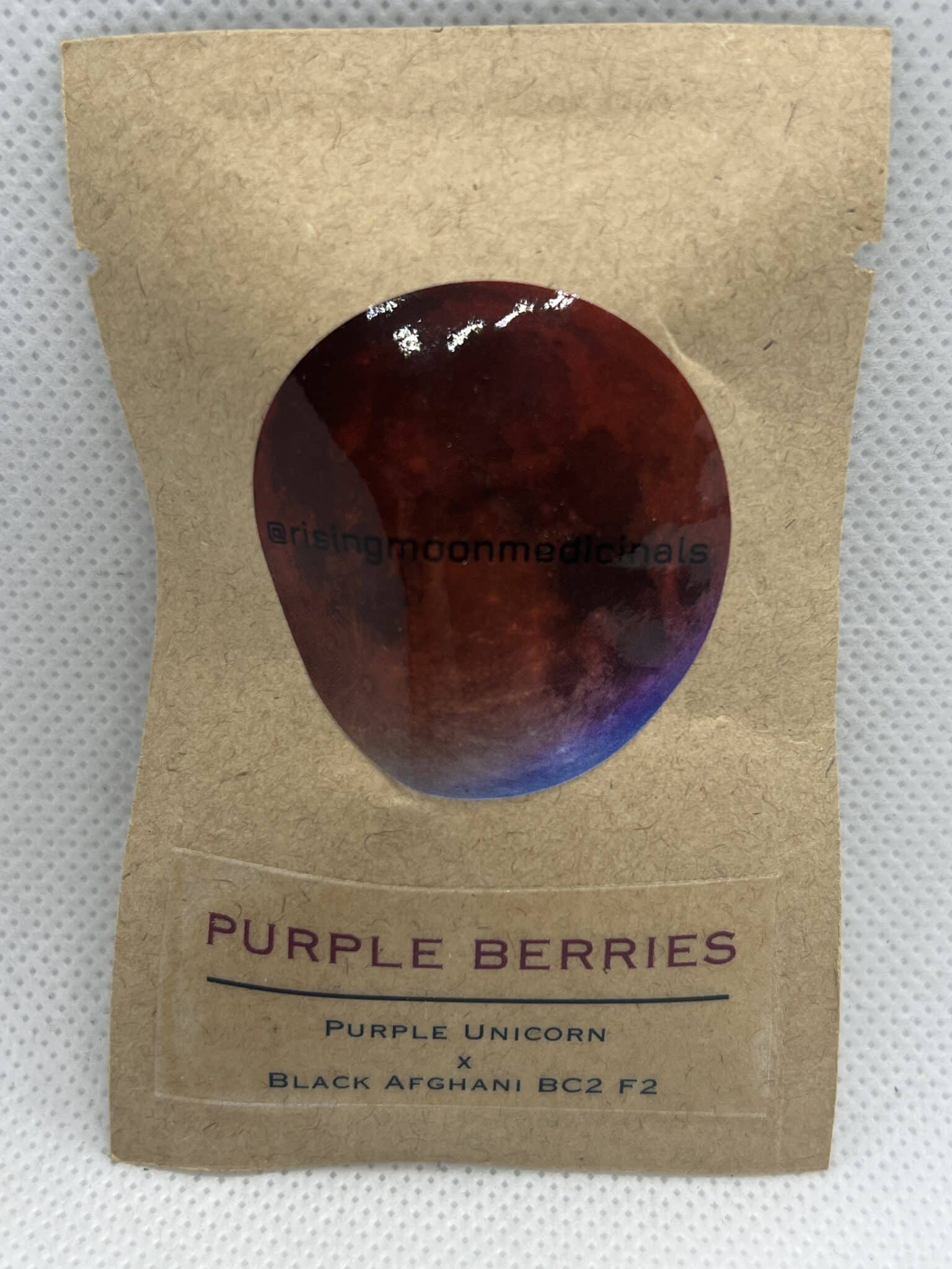 Rising Moon Seeds - Purple Berries