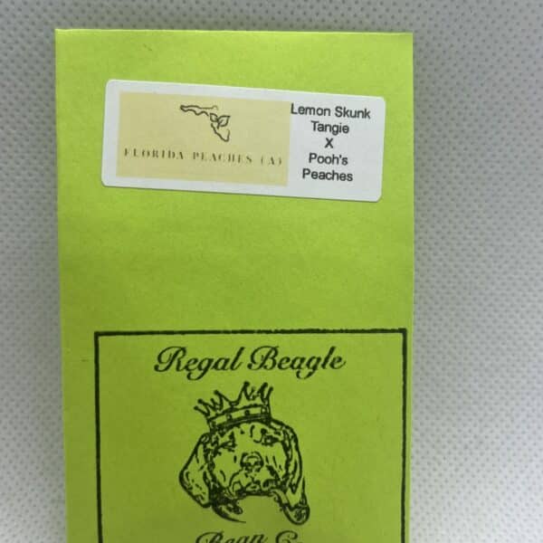 The Regal Beagle Bean Co - Florida Peaches (Autoflower)