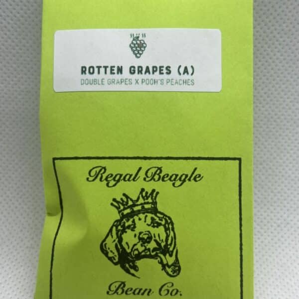 The Regal Beagle Bean Co - Rotten Grapes (Autoflower)