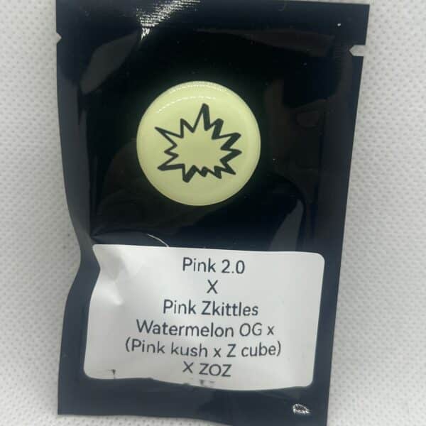 Sheeesh - Pink 2.0 x Pink Zkittles