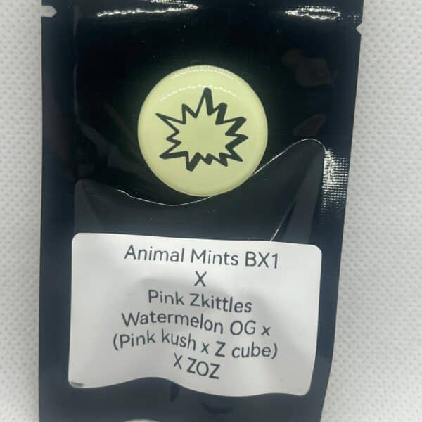 Sheeesh - Animal Mints Bx1 x Pink Zkittles