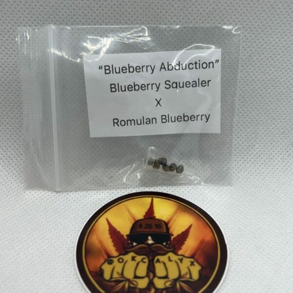 Okcalyxx - Blueberry Abduction