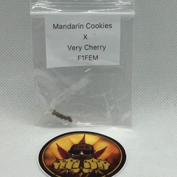 Okcalyxx - Mandarin Cookies x Very Cherry (fem)
