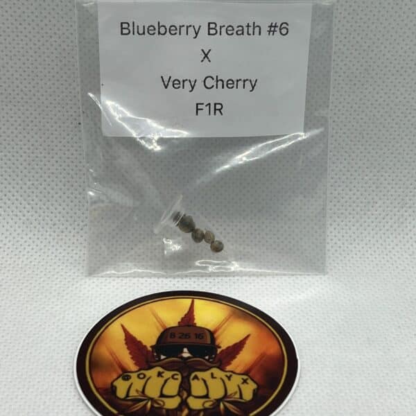 Okcalyxx - Blueberry Breath #6 x Very Cherry