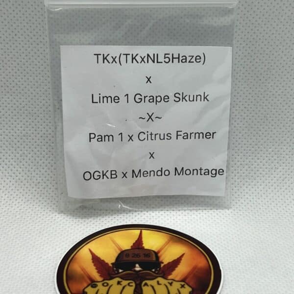 Okcalyxx - TKx(TKxNL5Haze)xLime1GrapeSkunkxPam1xCitrusFarmerxOGKBxMendoMontage