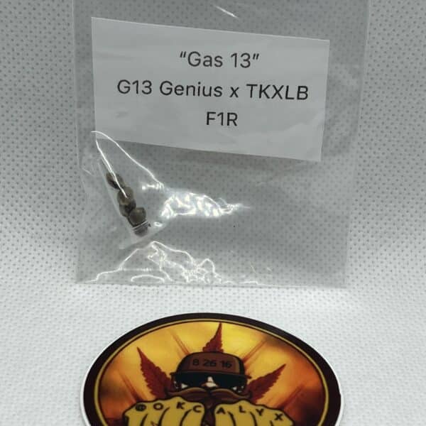 Okcalyxx - Gas 13