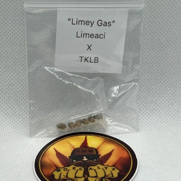 Okcalyxx - Limey Gas