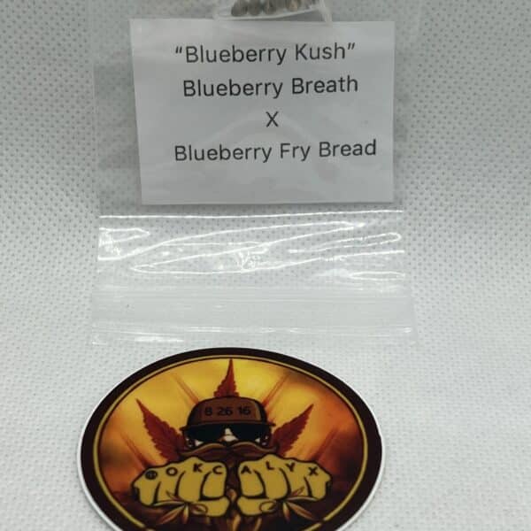 Okcalyxx - Blueberry Kush
