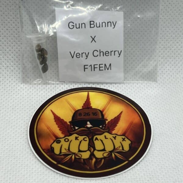 Okcalyxx - Gun Bunny x Very Cherry (fem)