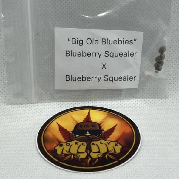 Okcalyxx - Big Ole' Bluebies