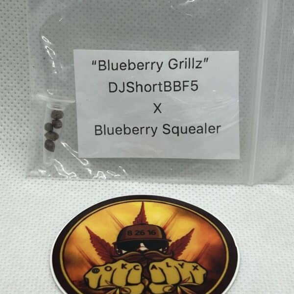 Okcalyxx - Blueberry Grillz