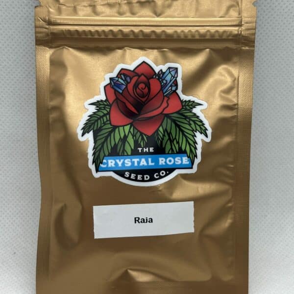 Crystal Rose - Raja