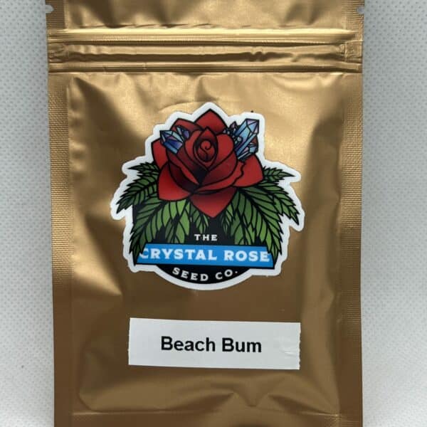 Crystal Rose - Beach Bum