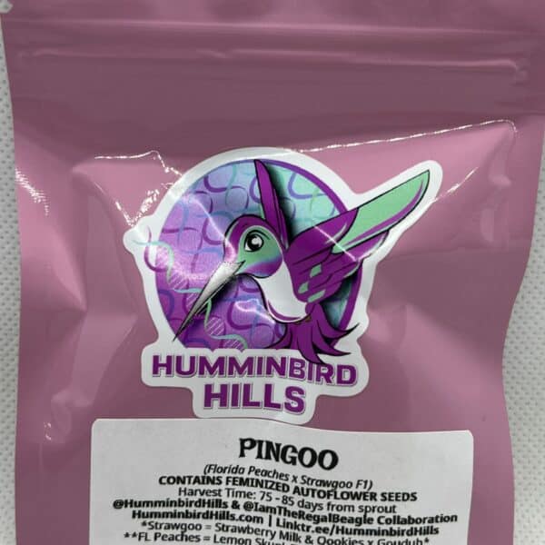 Humminbird Hills - Pingoo