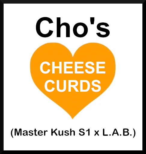 Brown Bag Seeds - Cho's Cheese Curds